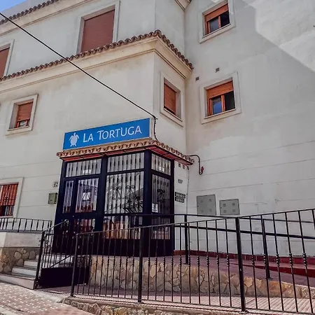 La Tortuga * 타리파