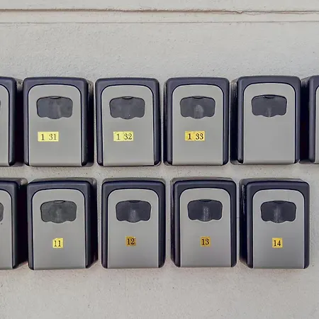 La Tortuga 게스트하우스