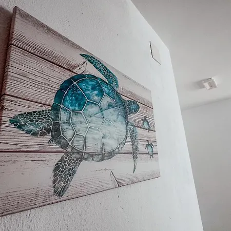 Pensjonat La Tortuga Tarifa